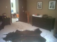 mynursery1.jpg