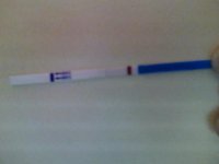 14dpo1.jpg