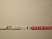 11DPOC7PM(3).jpg