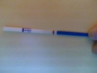 15dpo1.jpg