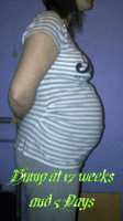 BumpPic17wksand5Days-1.gif
