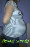24weeks.gif