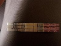 Aug 5th 2011, 3rd OPK neg.jpg