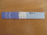 IMG_4542ovu.jpg