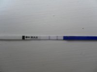 OPK 130811 PM (1) CD 21.jpg