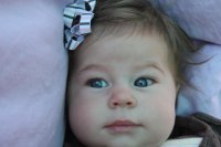 IMG_1100.jpg