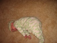IMG_2914.jpg
