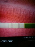 DSC02107.jpg
