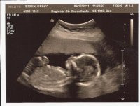 17w4d.1.jpg