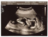 17w4d.2.jpg