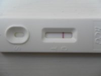 5DPO.jpg