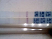 286801_254387944582088_100000326530971_922038_1498136_o.jpg