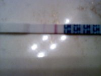 287111_254710937883122_100000326530971_923278_522938_o.jpg