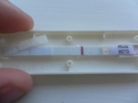 better light 7DPO.jpg