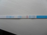 8DPO early response, midday wee. (3).jpg