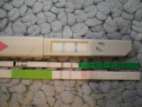 pic4.jpg