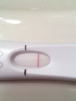 pic3.JPG