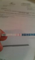 OPK.jpg
