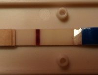 11dpo.jpg