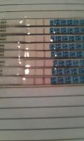 OPK.jpg