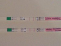 20110823164649.jpg