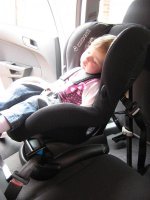 IMG_0193.jpg