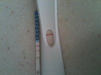 8-11 opk.jpg