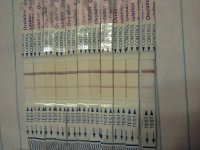 IMG_20110822_183702.jpg