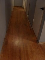 SDC10493.jpg