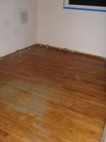 SDC10510.jpg