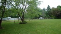 DSC05931.jpg