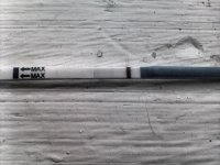 IMAG0124.jpg