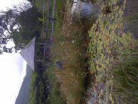 IMG-20110711-00098.jpg
