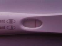 FRER tweaked.jpg