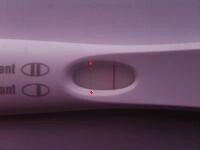 FRER tweaked.jpg