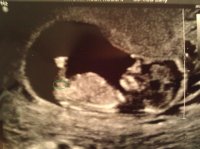 12wk1_a.jpg