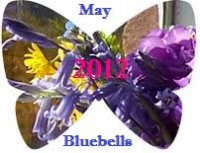 May Bluebell 2.jpg