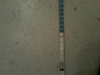 opk 9-1-11.jpg