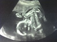 Baby E 02.jpg