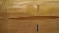 DSC00700.jpg
