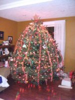 Tree 2010.jpg