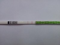 2011-09-06 11.46.26.jpg