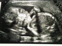 Pic 1.jpg