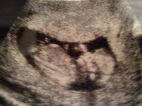 13wks_a.jpg