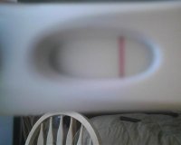 frer.jpg
