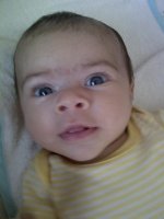 Bradford-20110826-00139.jpg