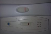 IMAG0724.jpg