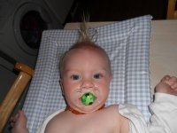 alfie bear 151.jpg