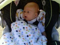 Colby 11 weeks Sept 12, 2011.jpg