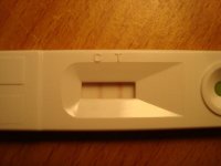 DSC04054.jpg